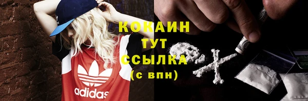 индика Видное