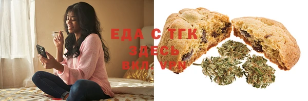 индика Видное