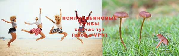 дмт Абаза