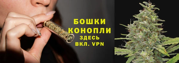 индика Видное