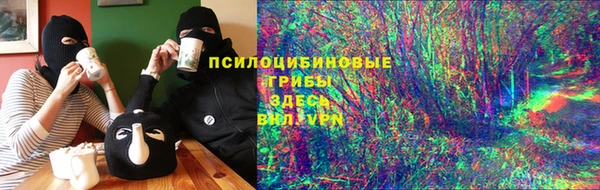 дмт Абаза
