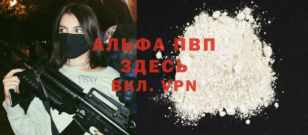индика Видное