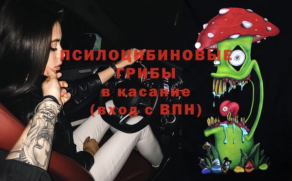 индика Видное