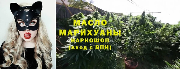 индика Видное