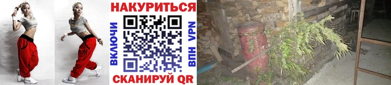 blacksprut зеркало  Инза  Марихуана сатива 